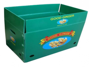  Agriculture Packaging